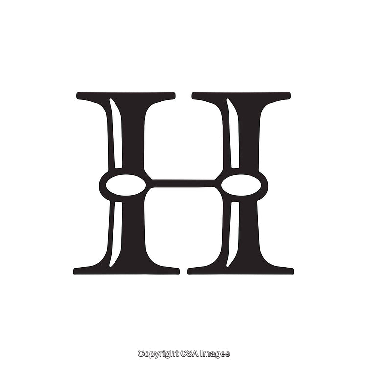Stylized Detailed Black Letter H on White Background