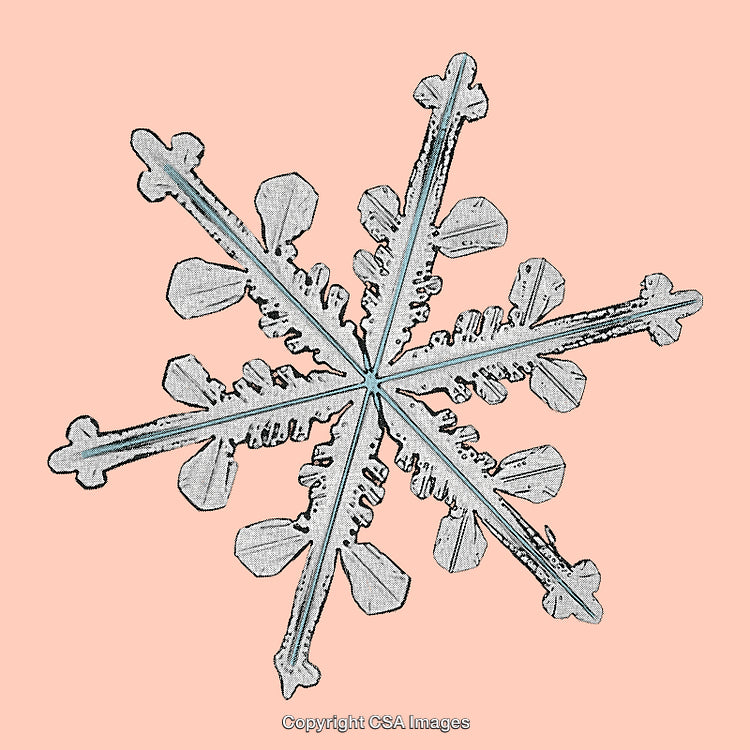 Detailed Snowflake Design on Soft Pink Background in Artistic Style