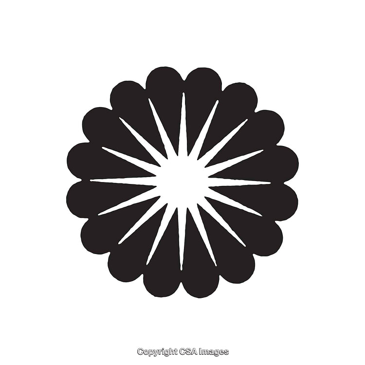 Stylish Black and White Shape Featuring a Radiating Circular Design