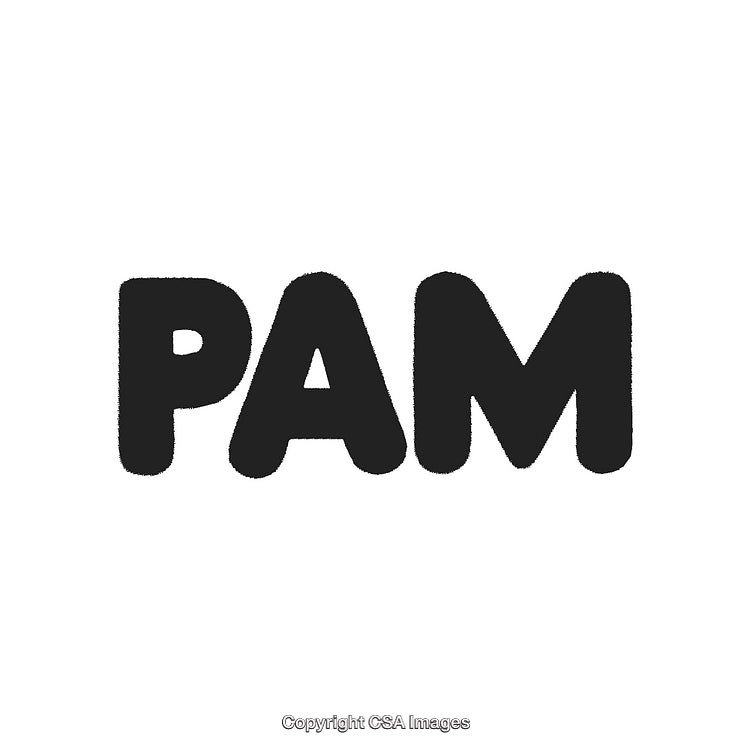 Bold Graphic Design Featuring the Word 'PAM' in Clean Black Typography