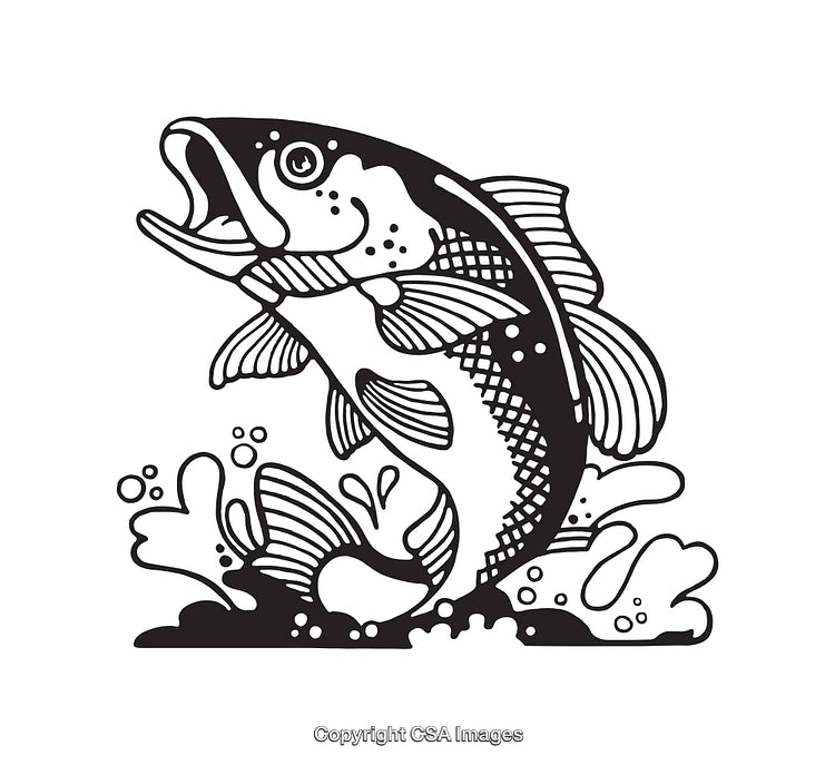 Black and White Line Drawing of a Jumping Fish Illustration