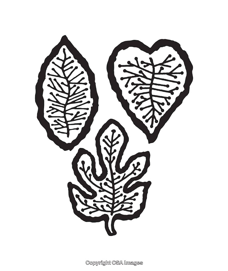 Black and White Line Art Illustrations of Stylized Tree Leaves