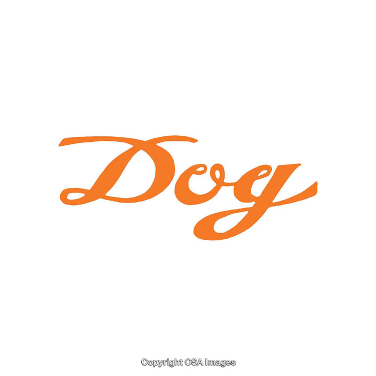Orange Decorative Typography Text Featuring the Word Dog on White Background