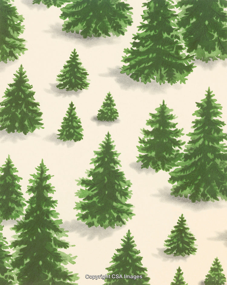Seamless Pattern of Green Pine Trees on White Background with Gentle Shading