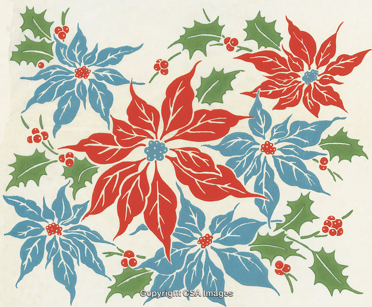 Festive Red and Blue Poinsettias With Holly and Berries for Christmas Decor