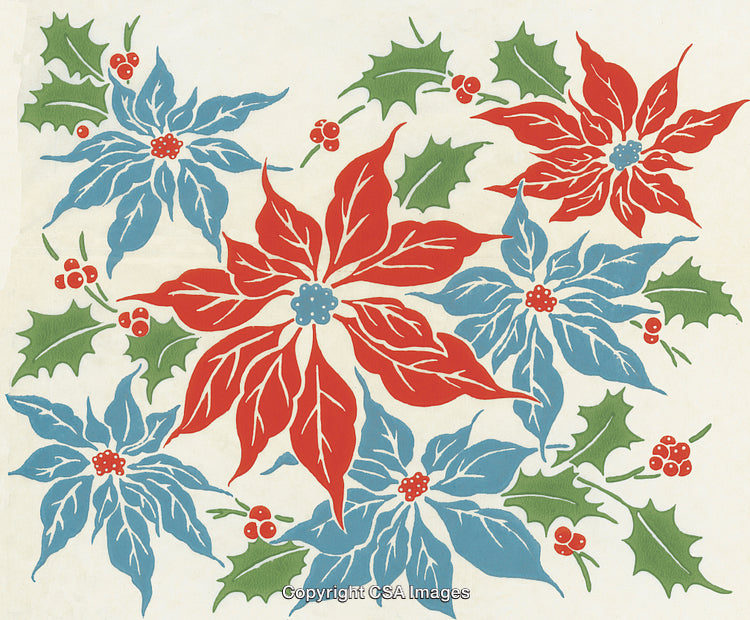 Festive Red and Blue Poinsettias With Holly and Berries for Christmas Decor