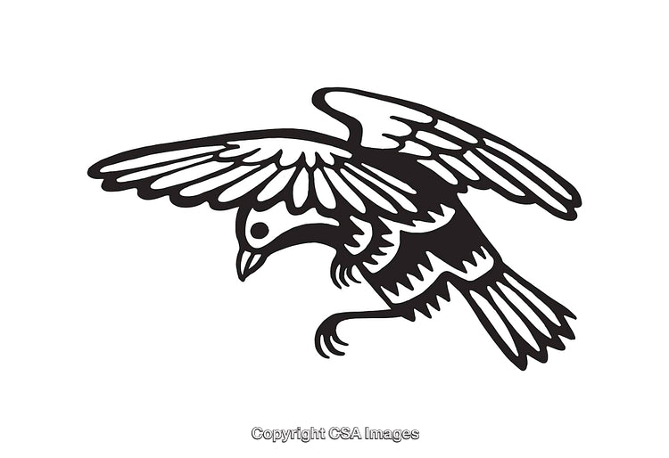 Black and White Line Art Illustration of a Bird in Flight