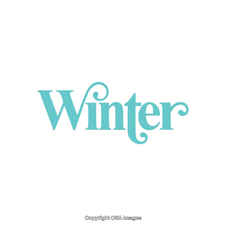 Winter-Themed Graphic Design Featuring Elegant Typography in Aqua