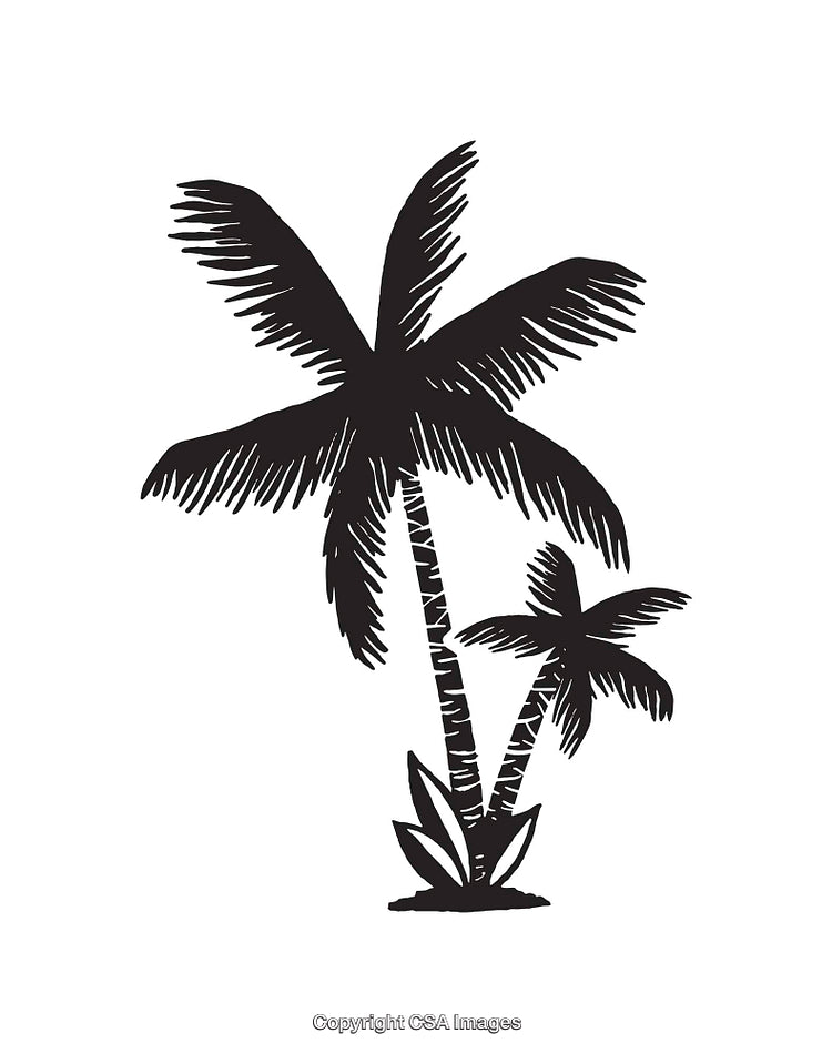 Black and White Line Art Illustration of Two Palm Trees with Leaves