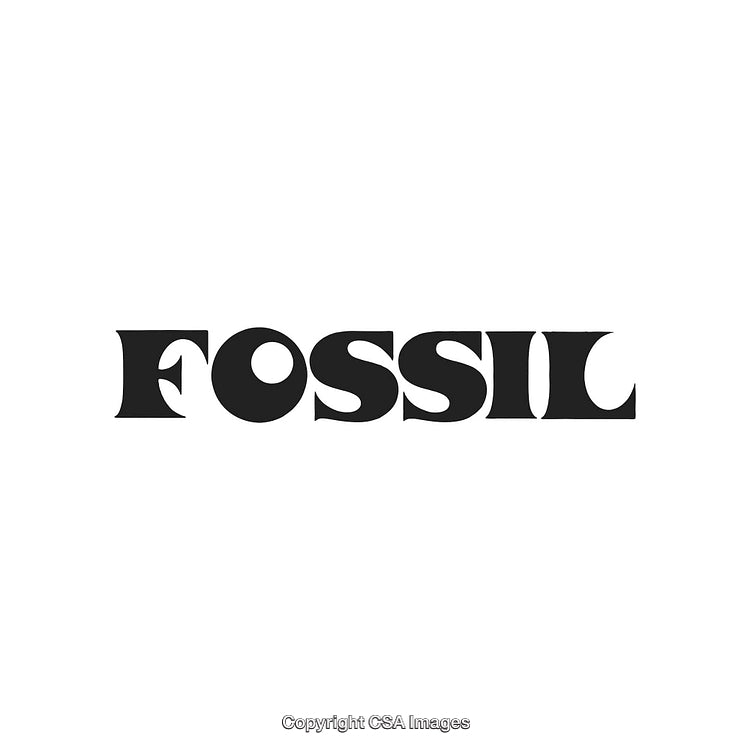 Fossil Logo in Bold Serif Font on White Background