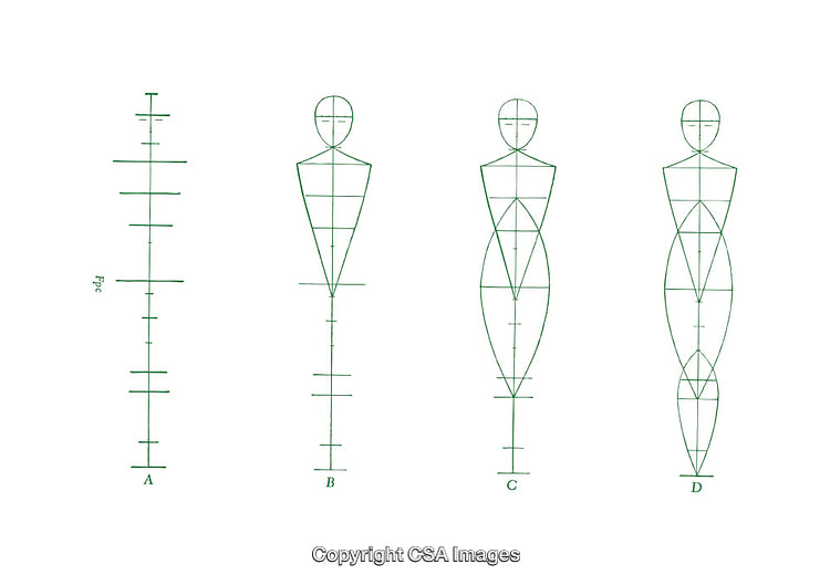 Technical Diagrams Showcasing Human Proportions and Geometric Figure Development
