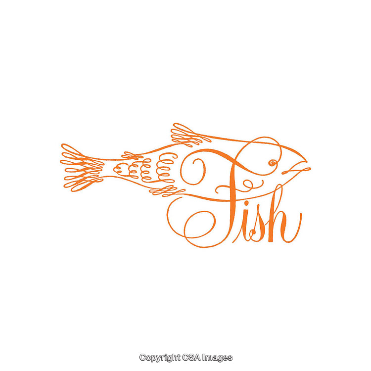 Elegant Orange Fish Illustration Using Calligraphic Linework Techniques