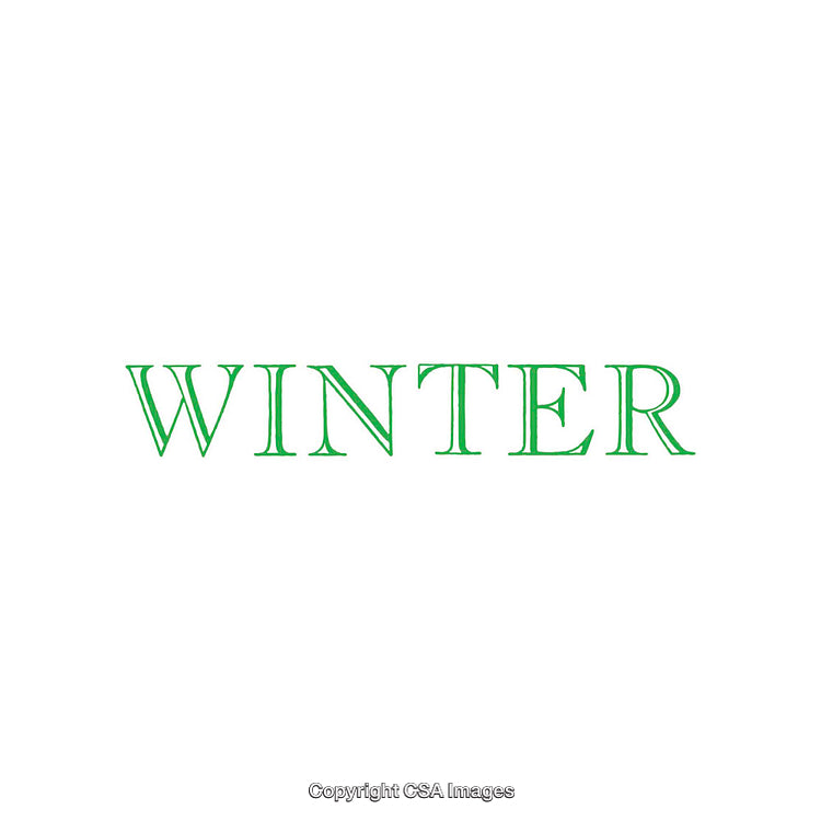 Green Winter-Themed Minimalistic Text on White Background