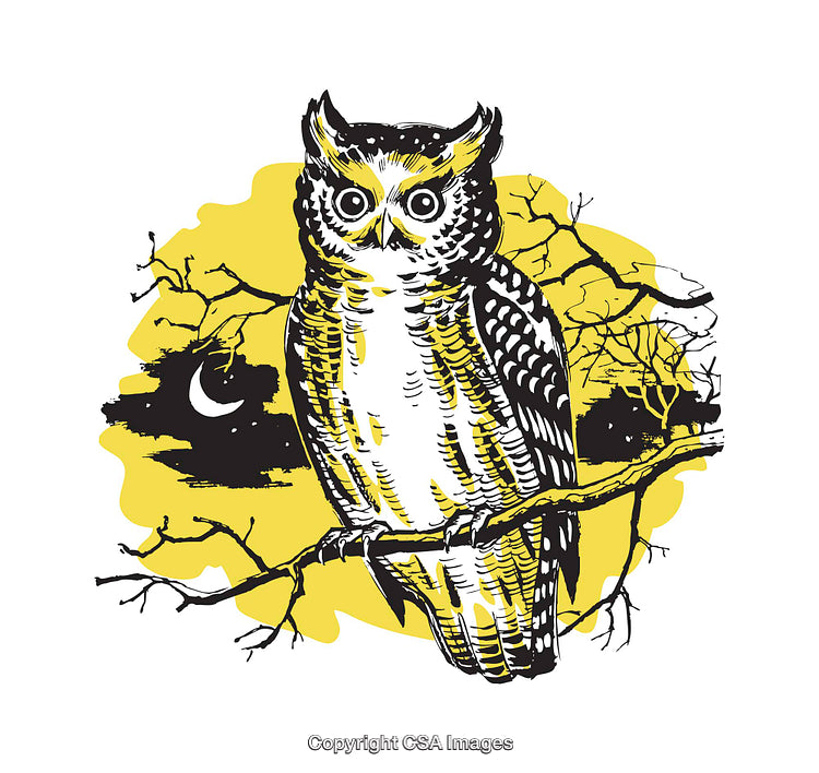 Illustration of an Owl Perched on Branch at Night with Yellow Backdrop