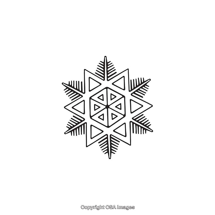 Symmetrical Black and White Snowflake Design With Geometric Patterns