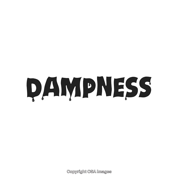Creative Text Art Depicting the Word Dampness in Drippy Bold Style