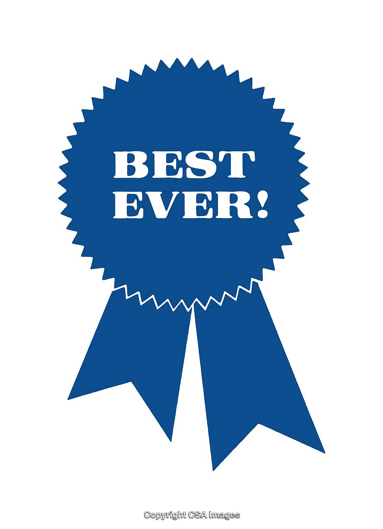 Blue Ribbon Icon Designating Excellence and High-Quality Achievement