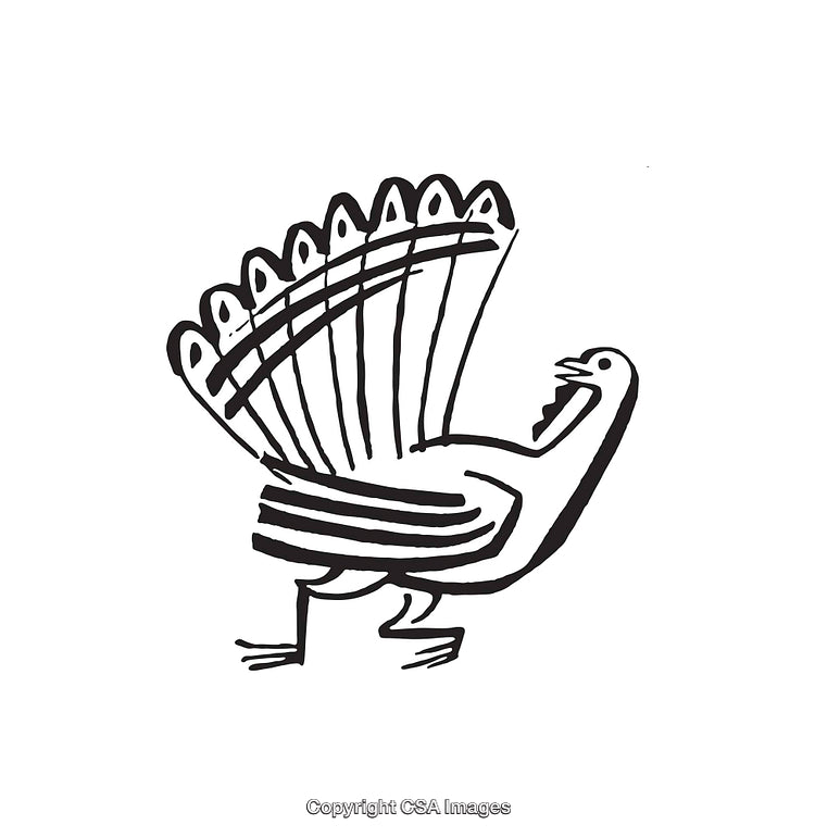 Black and White Line Art of a Stylized Bird with Open Tail Feathers