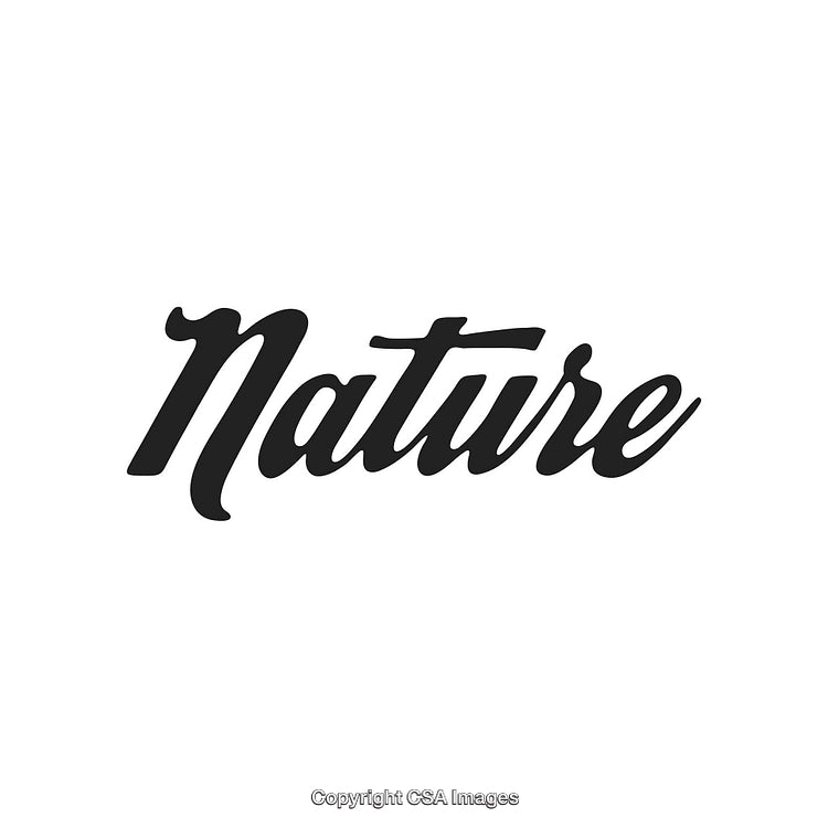 Bold Black Typography Design of the Word Nature on White Background