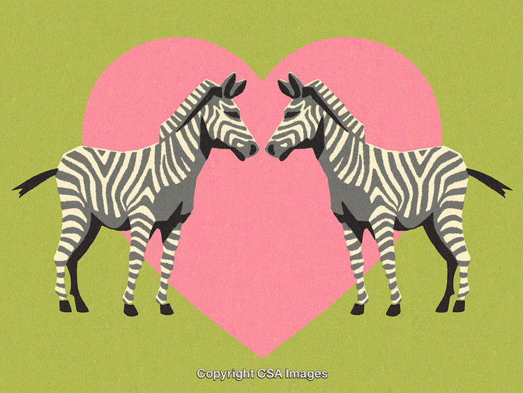 Two Zebras Facing Each Other Against Heart Backdrop Symbolizing Love and Unity