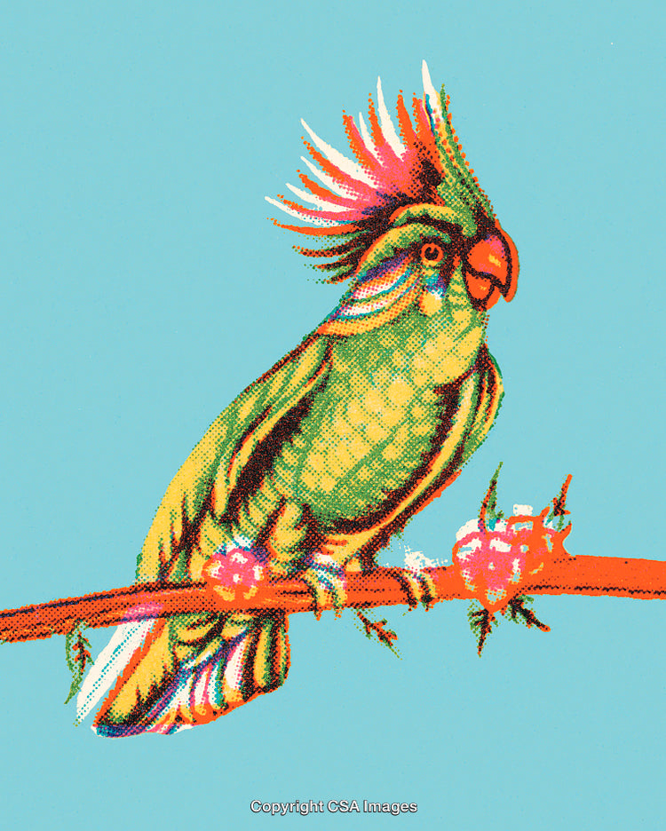 Vibrant Illustrative Portrait of a Parrot on a Branch with Bright Colors