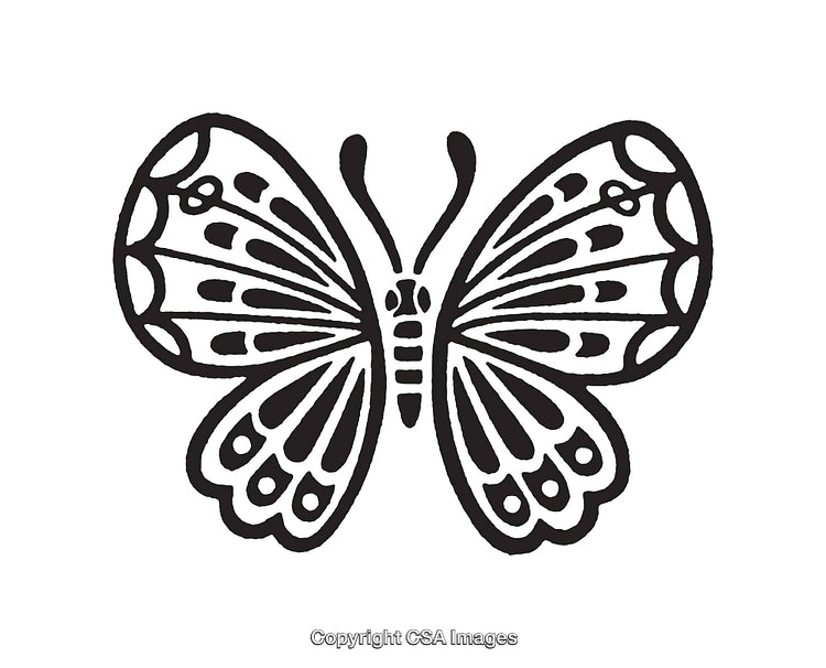 Detailed Black and White Line Art Butterfly Illustration