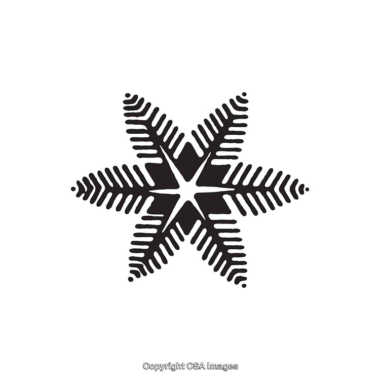 Intricate Black and White Star Design With Geometric Patterns