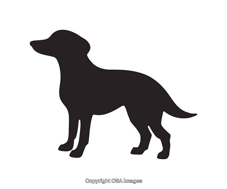 Black Silhouette of Standing Dog Icon on White Background