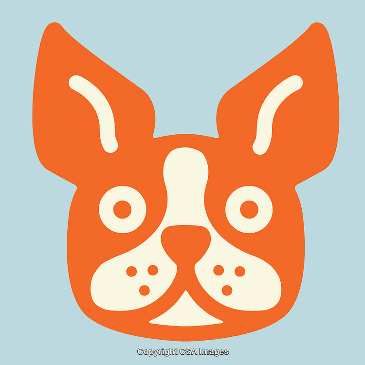 Colorful Illustration of a Dog's Face with Geometric Style