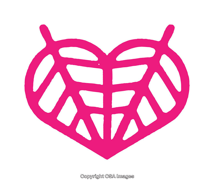 Pink Heart Symbol with Leaf Pattern Inside on White Background