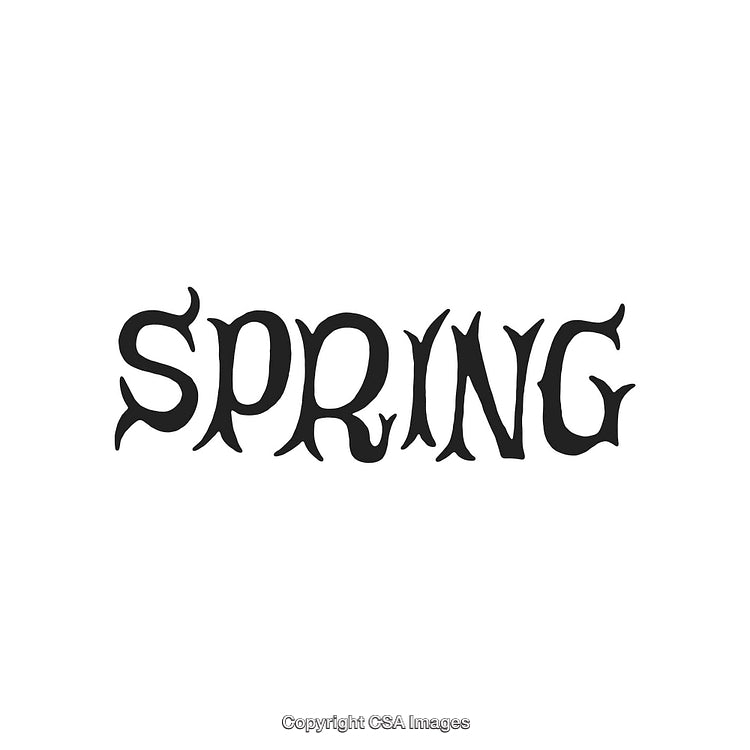 Stylized Word 'Spring' in Decorative Typography Design on White Background