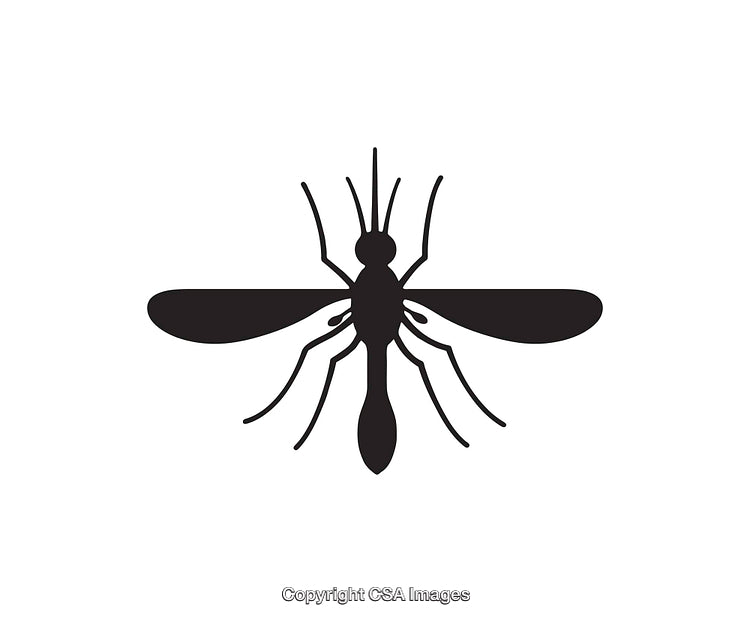 Minimalistic Black and White Mosquito Icon for Vector Art Design