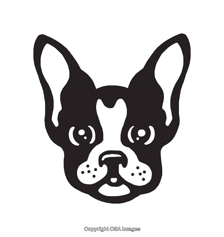 Black and White Line Art of a French Bulldog's Face