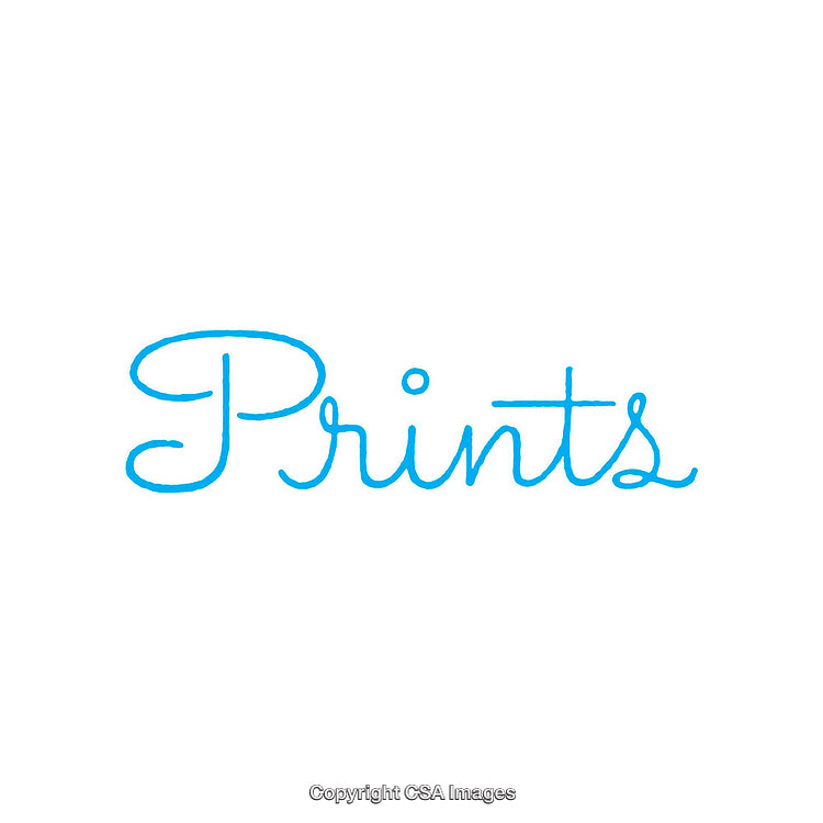 Blue Text Depicting 'Prints' in a Clean Typography Style