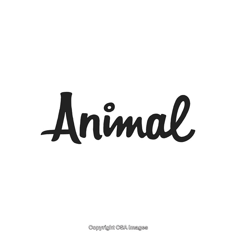 Elegant Black Handwritten Script on a Clean White Background