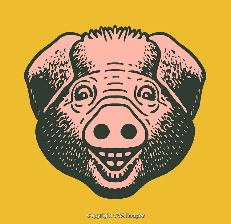 Smiling Pig Illustration on Yellow Background in Line Art Style