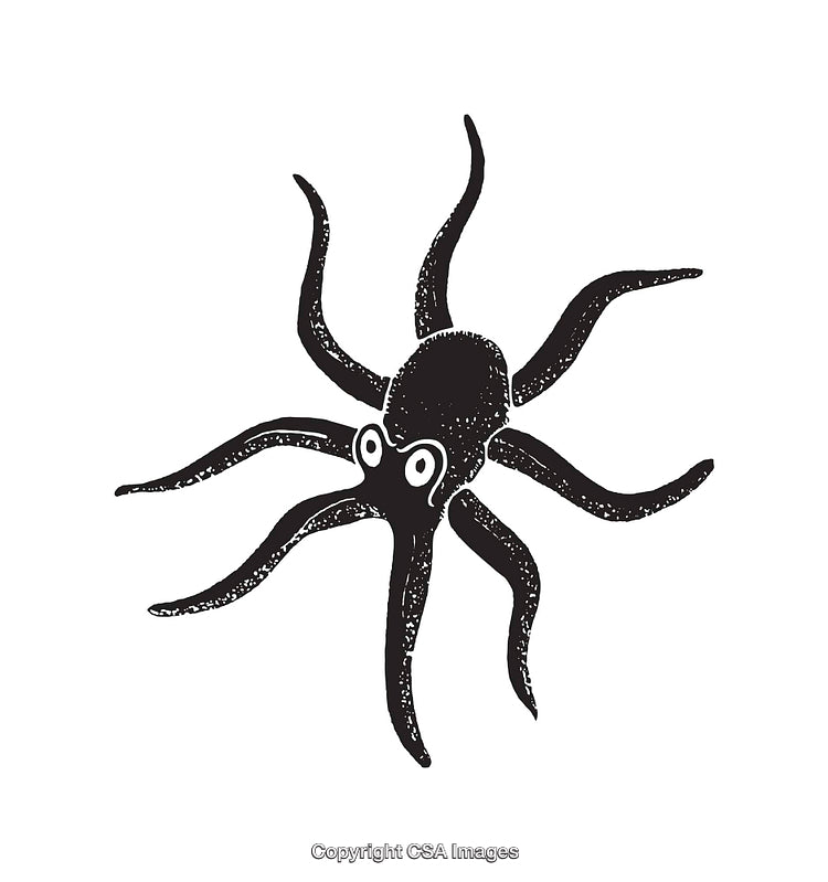 Black and White Octopus Illustration with Stylized Artistic Details