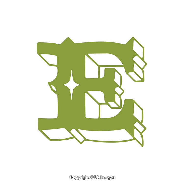 Stylized Green Letter E with Decorative Design Elements on White