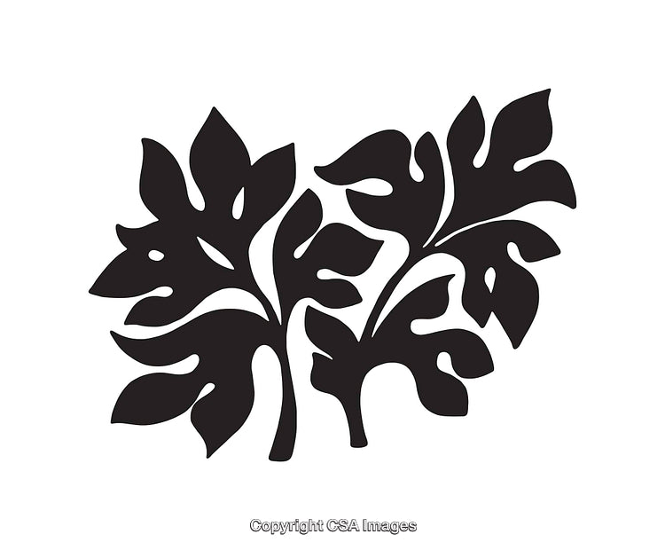 Black and White Line Art Illustration of Botanical Leaf Shape