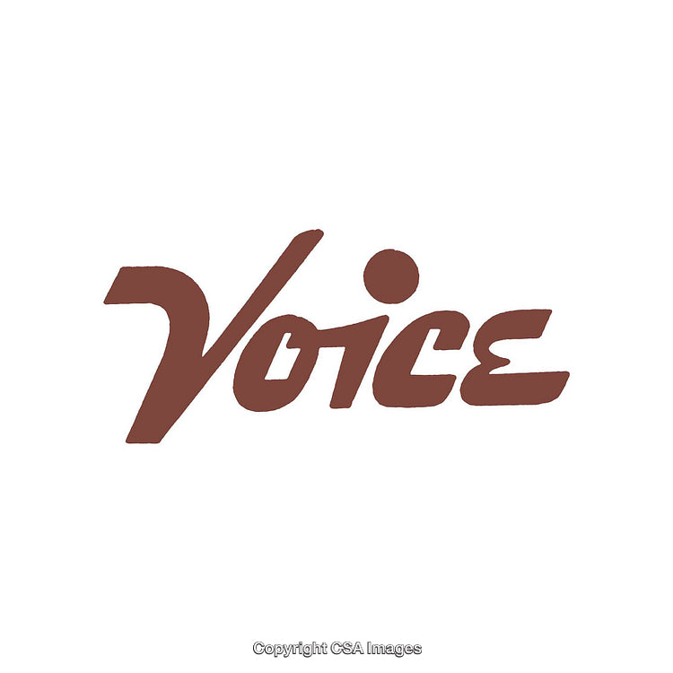 Stylized Monochromatic Text Design Featuring the Word 'Voice' in Artistic Style