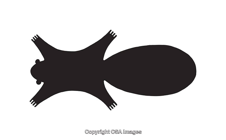 Black Silhouette Illustration of a Simplified Animal Figure