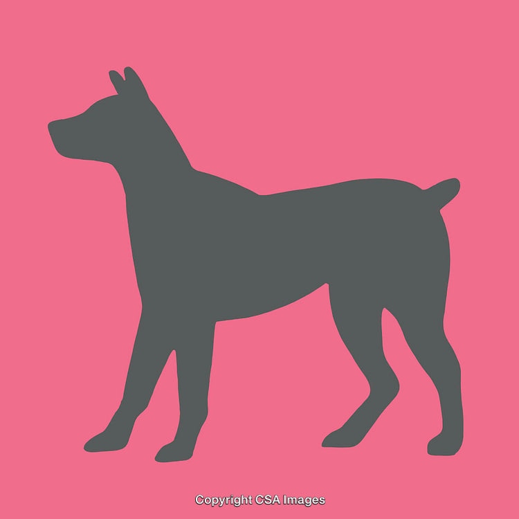 Silhouette of Standing Dog on Vibrant Background in Minimalist Style