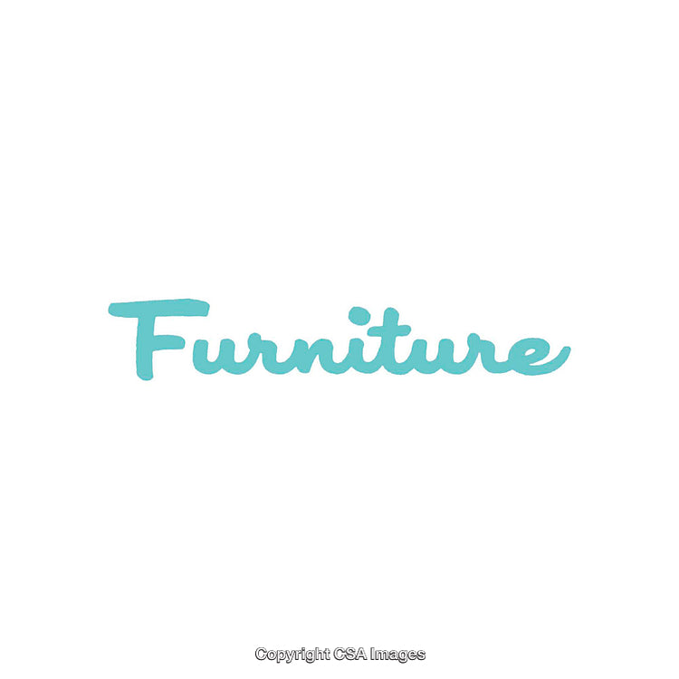 A Minimalistic Typography Artwork Highlighting the Word Furniture in Blue