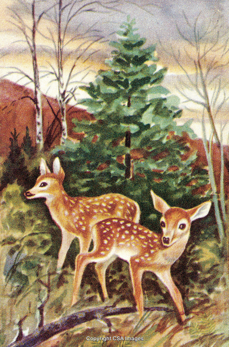 Two Graceful Deer Fawns Exploring a Forest with Lush Foliage and Trees