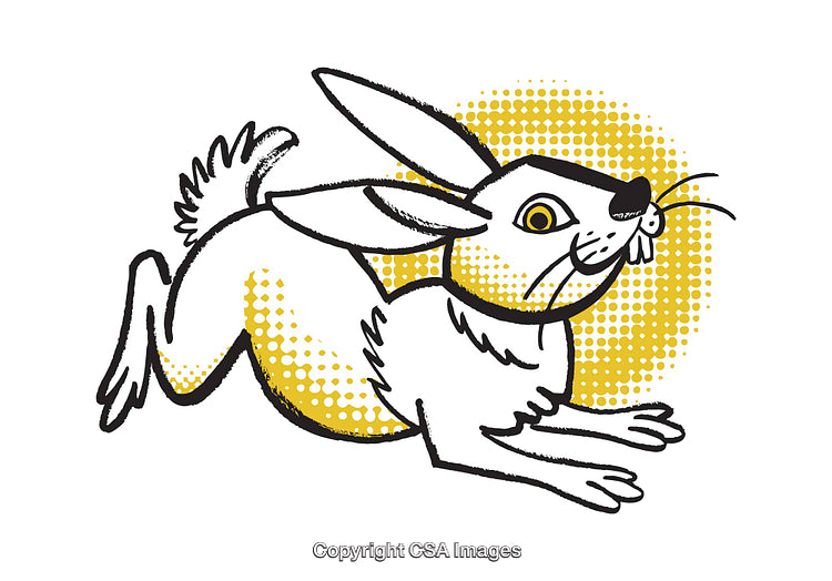 Playful Bunny Illustration with Bold Colors and Graphic Details