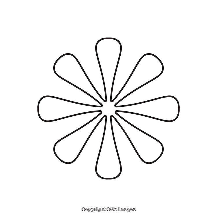 Abstract Black and White Floral Design With Minimalist Line Art Style