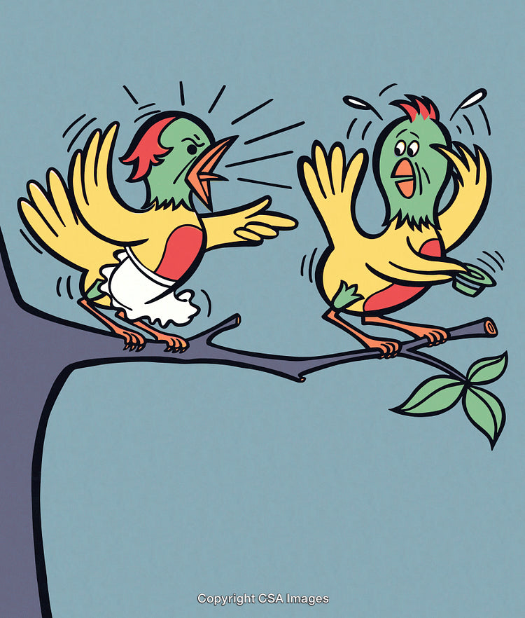 Cartoon Birds Quarreling on a Branch in a Humorous Illustration
