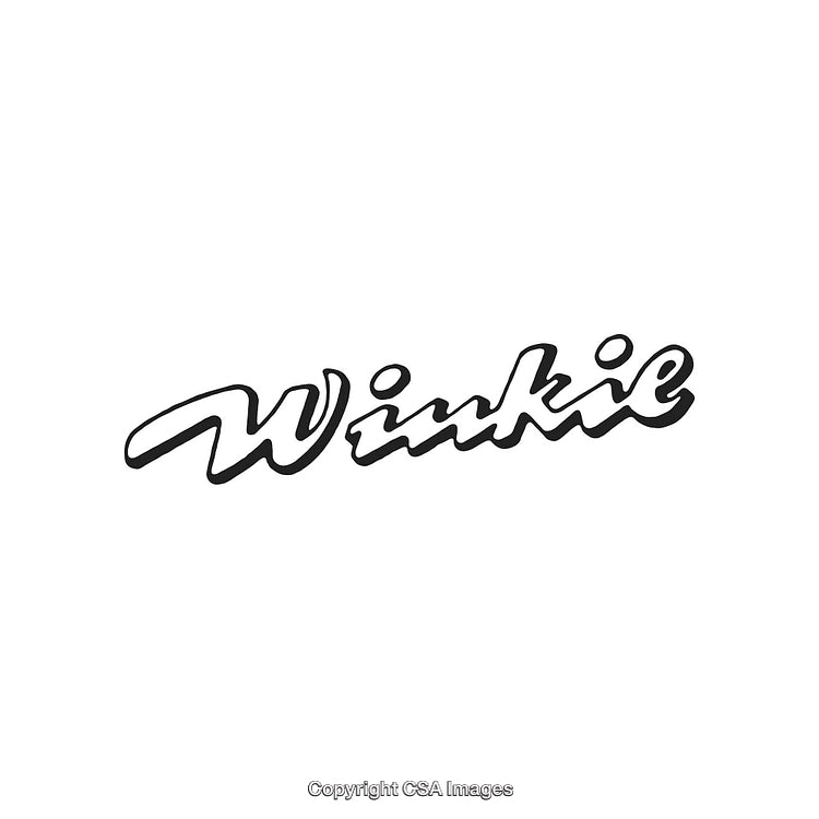 Stylized Black Ink Handwritten Script Logo Concept on White Background