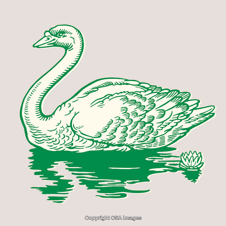 Elegant Green Swan Illustration with Floral Details and Reflective Water