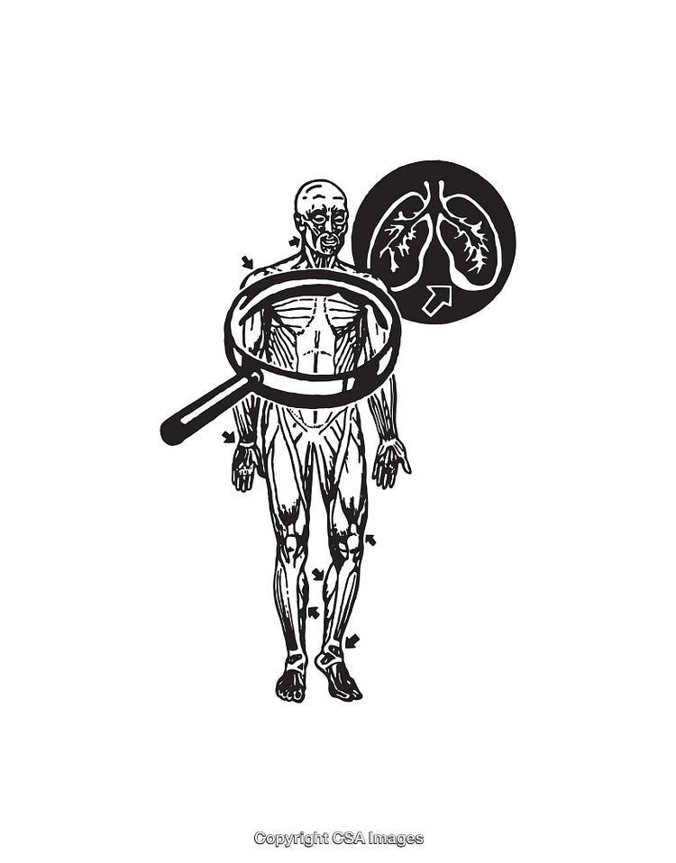 Black and White Line Art of Human Anatomy with Magnified Detail